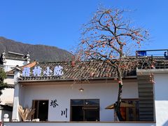 -塔川景区