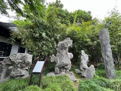 -上海醉白池公园