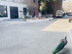 -J Create城市露营咖啡·简餐·宠物(上海动物园店)