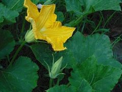 -任达丞国农庄(任达山庄店)