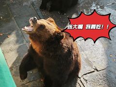 -西霞口神雕山野生动物世界