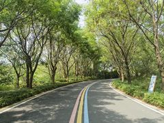 -同里国家湿地公园