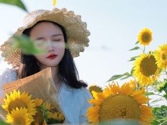 -杭州湾海上花田景区