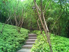 景点-杭州半山国家森林公园