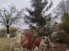 -羊山湖公园