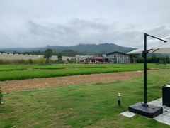 -禾悦庄餐厅