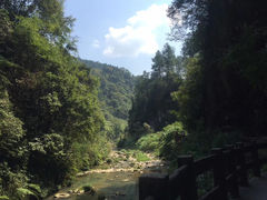 -龙水峡地缝景区