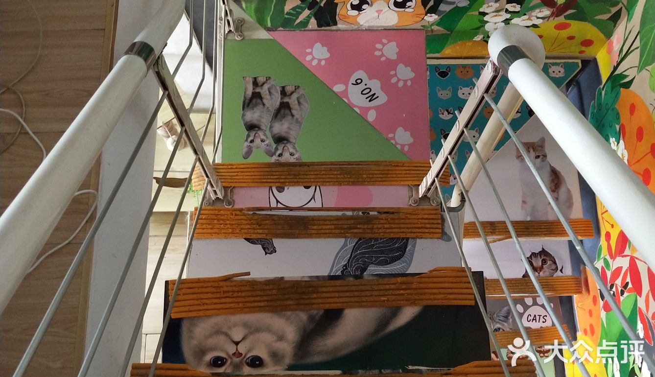 位于小寨东路一又二分之一公寓B座1009 大叔是个爱