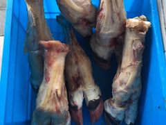 -剑南五香牛肉店