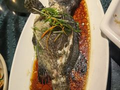 清蒸老虎斑-达叔香味海鲜(海棠68环球美食街店)