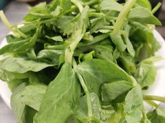 -蔼若春.传承三十年云南菜(金碧公园店)