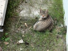 -苏州工学院(东湖校区)
