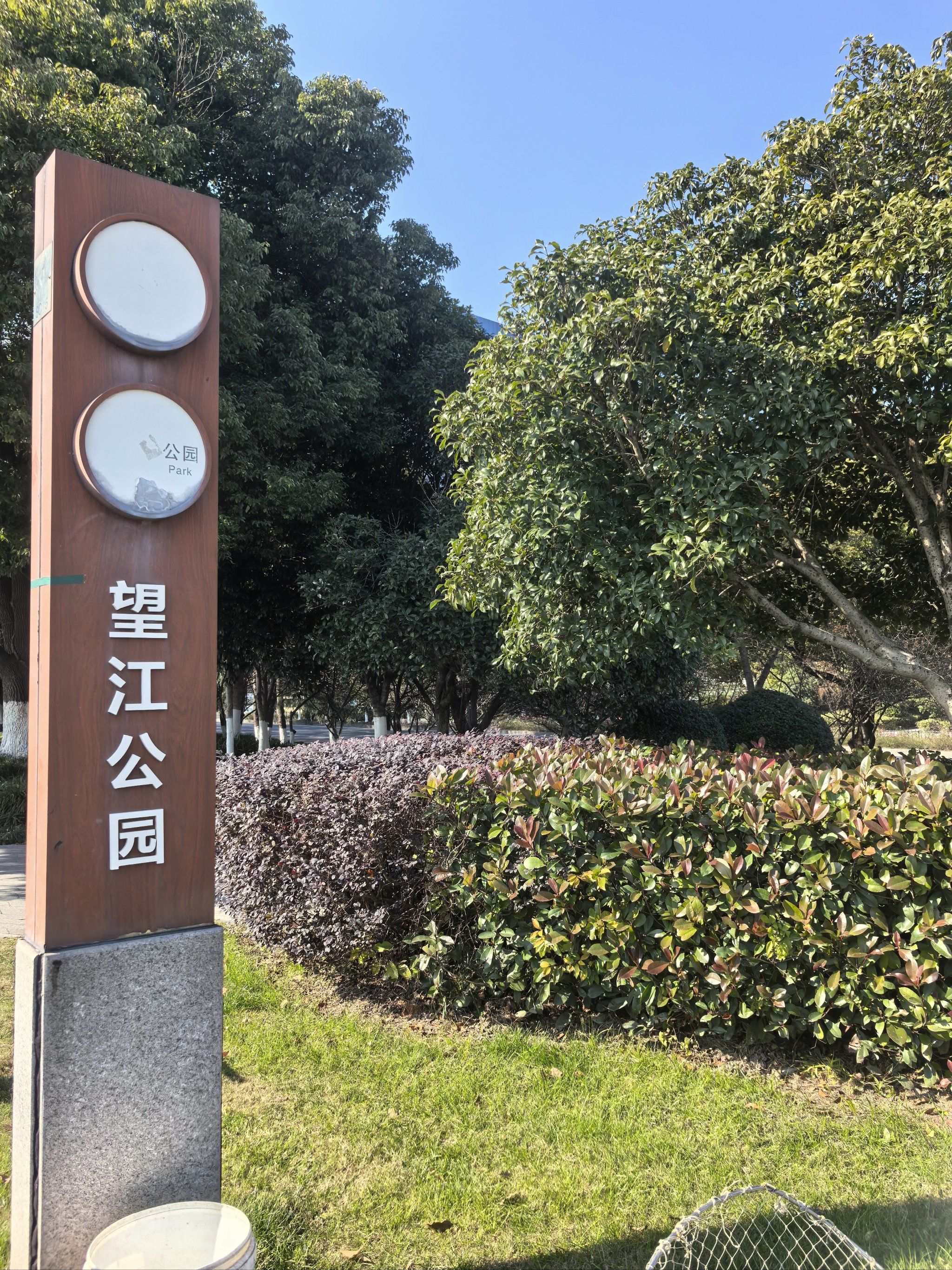 午后,漫步望江公园,至湖边,见数人垂钓.垂柳依依