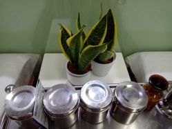 -悟空祛痘·专业祛痘机构