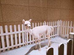 -舟山朱家尖威斯汀酒店·知味标帜自助餐厅