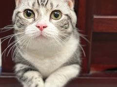 -贝康宠物医院·犬猫全科·小动物特色诊疗中心(东环路店)