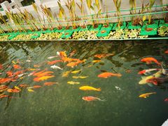 -嘉兴清池酒店温泉