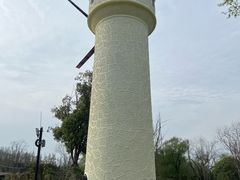 -东平国家森林公园