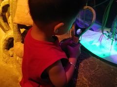 -沈阳海洋探索中心