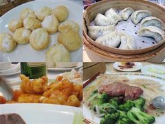 springdeer-鹿鸣春