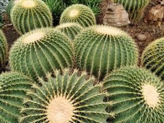 -北京植物园-展览温室