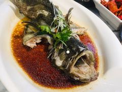 -T11生鲜超市(朝阳公园店)