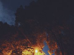 -忠山公园