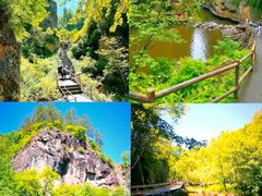 -汤旺河林海奇石景区