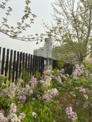 -北京科学中心儿童乐园