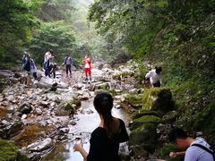 -楠溪江风景名胜区