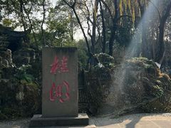 -桂湖森林公园