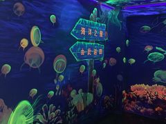 -成都浩海立方海洋公园