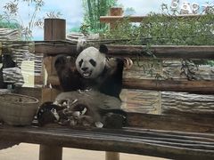 -西霞口神雕山野生动物世界