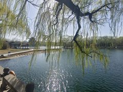 -百脉泉景区