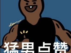 -胖哥俩肉蟹煲(来福士店)