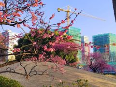-金沙湖公园