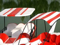 -白渔泡湿地公园