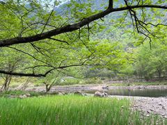 -宁波五龙潭景区