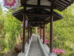 -上海醉白池公园