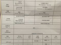 -宠爱国际动物医院·消化内科·心肾内科·ISFM猫友好(望京店)