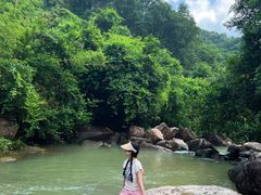 -广州白江湖森林公园