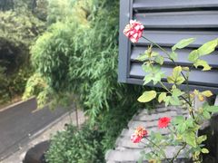 -龙井壹号·茶缘山景宴(龙井村店)