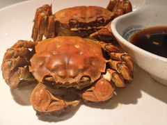 -壹只菜·崇明本地特色菜(崇明南门店)