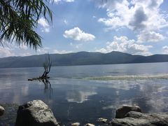 -才村湿地公园