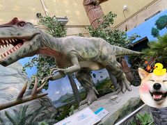 -国家自然博物馆