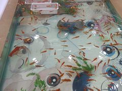 -万达广场(宜宾店)