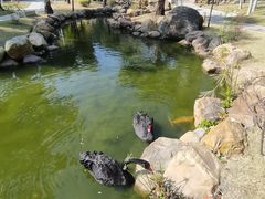 -惠州金海湾嘉华度假酒店