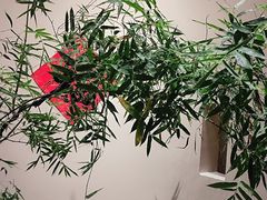 -银座商城(青岛中心店)