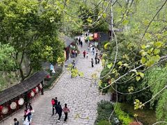 -合肥滨湖国家森林公园