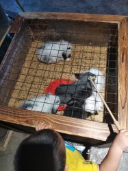 -酷嗒动物文化乐园(cutezoo西溪乐天城店)